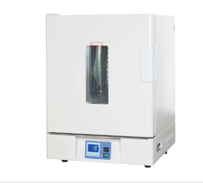 鼓風(fēng)干燥箱